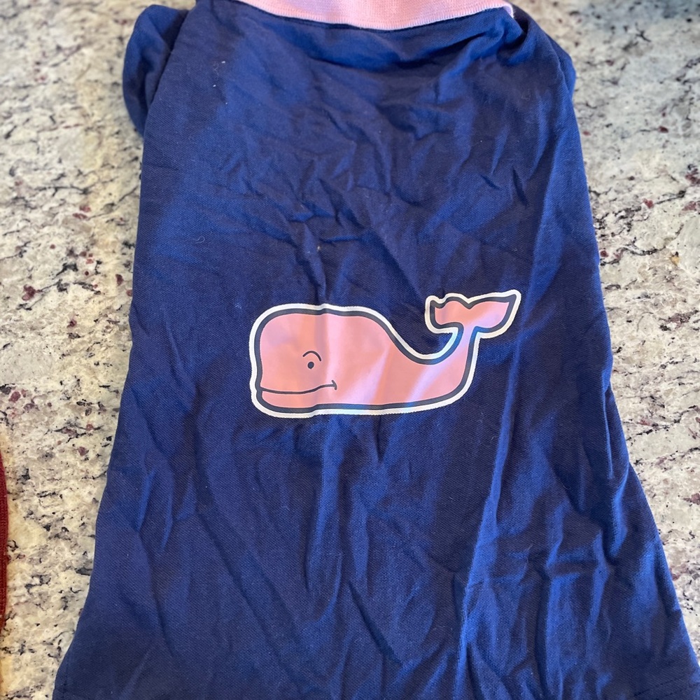 1 dog outfit for a medium sized dog.
